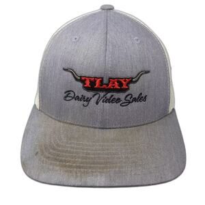 Yupoong Trucker Hat Gray White OS Snapback TLAY Dairy Video Sales American Flag